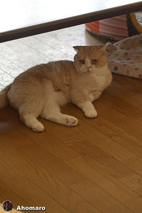 写真00