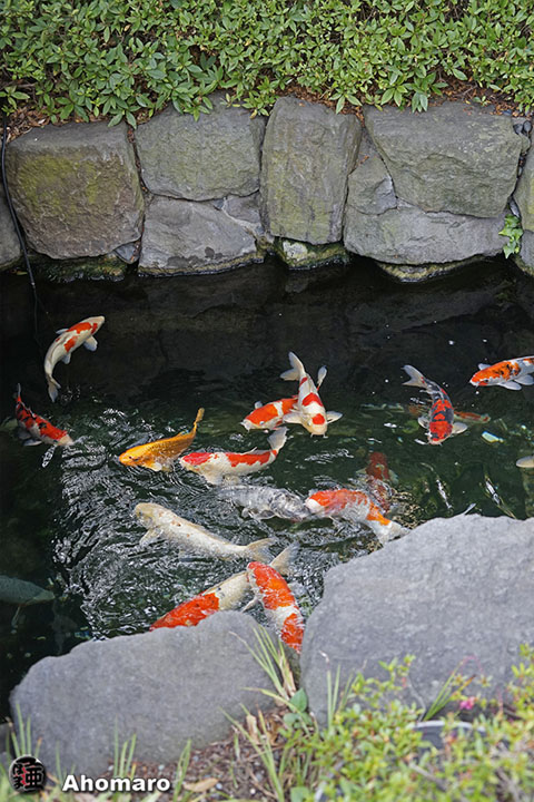 写真00