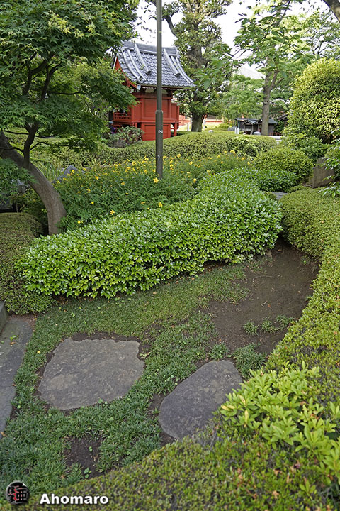 写真00