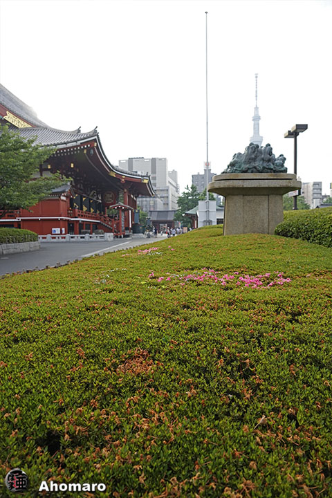 写真00
