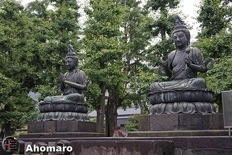 写真00