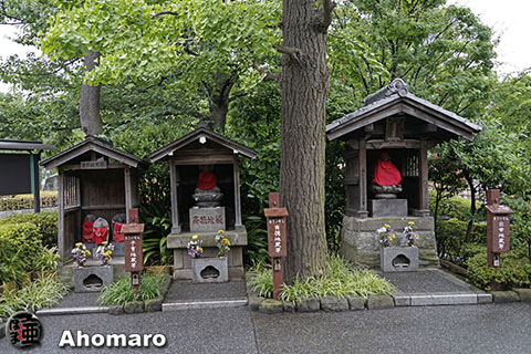 写真00