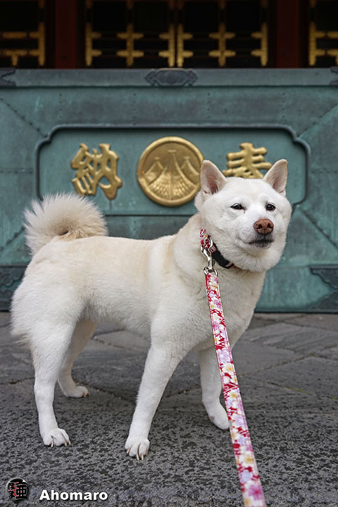 写真00