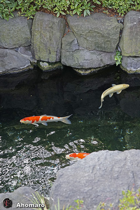 写真00