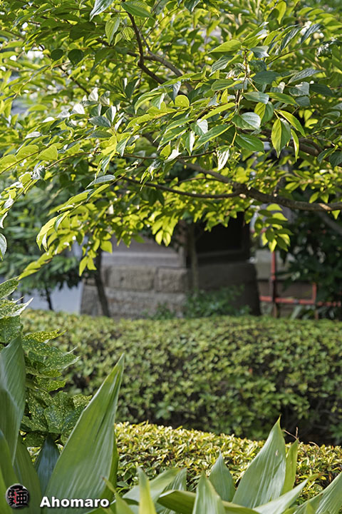 写真00