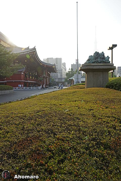 写真00