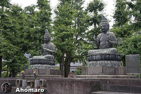 写真00