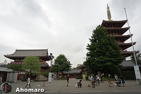 写真00