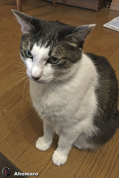 写真00
