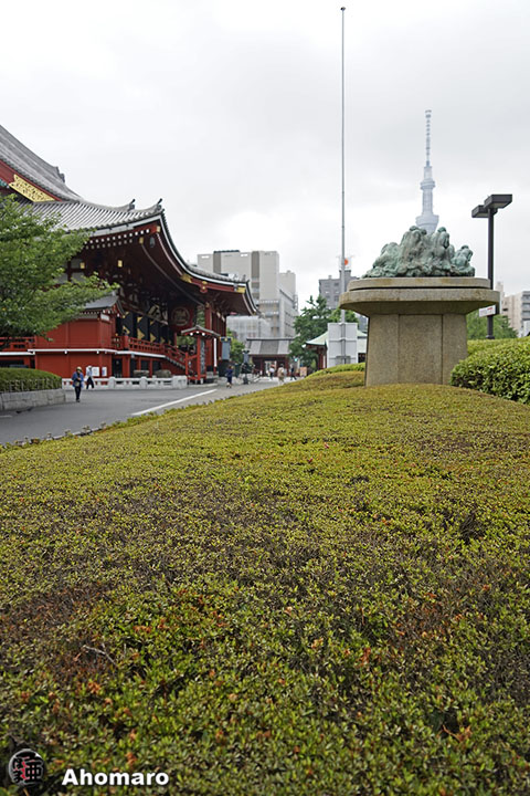 写真00