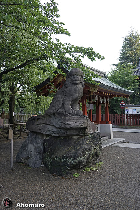 写真00