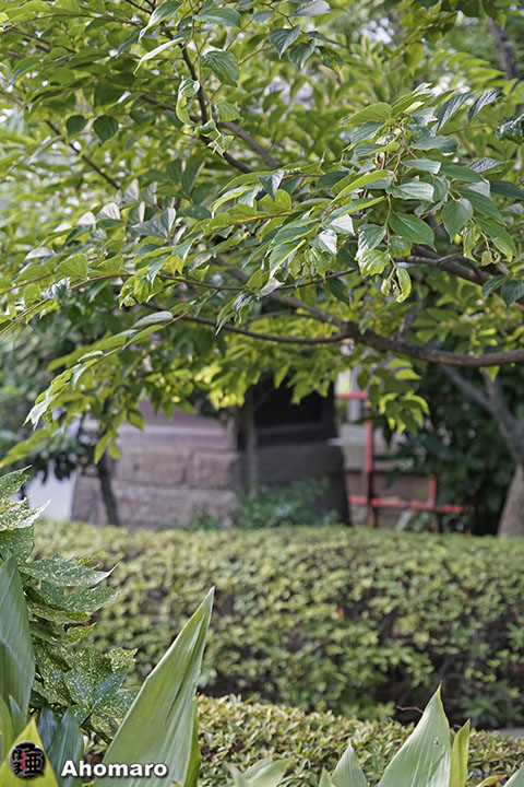 写真00