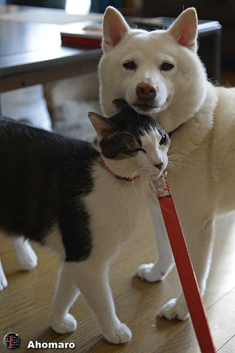 写真00
