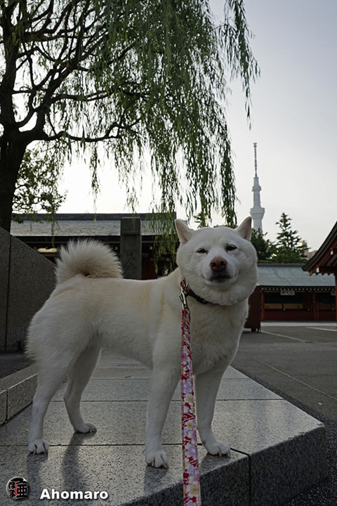 写真00