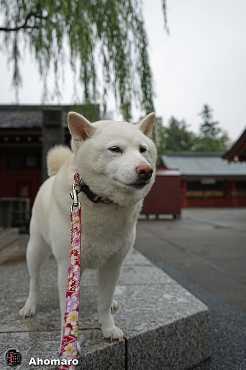 写真00