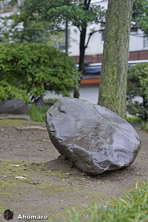 ʐ^00
