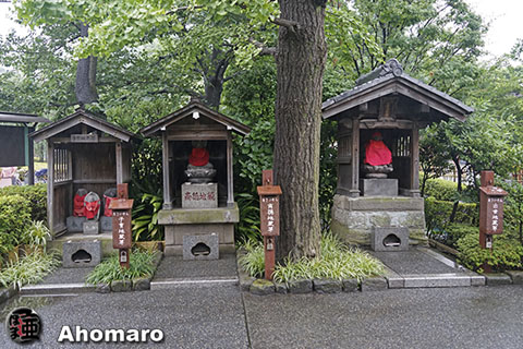 写真00