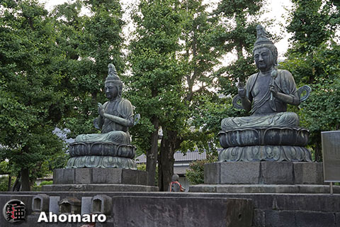 写真00
