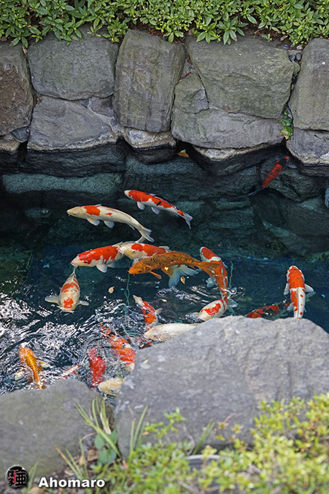 写真00
