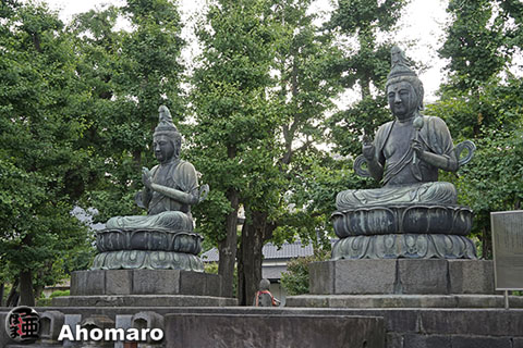 写真00
