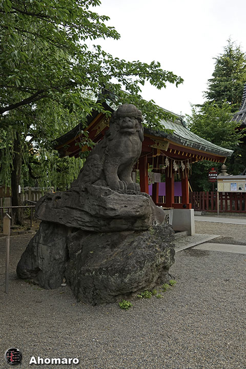 写真00