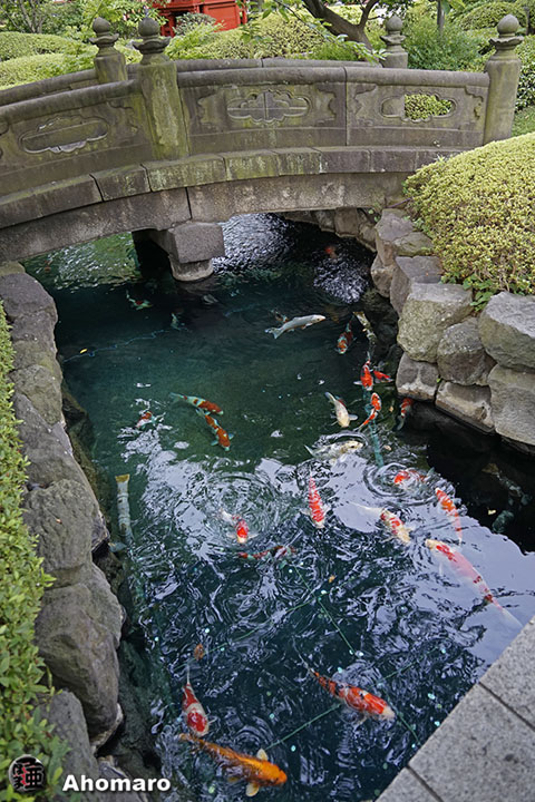 写真00
