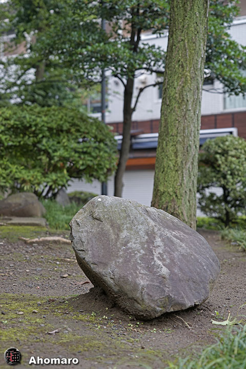 写真00