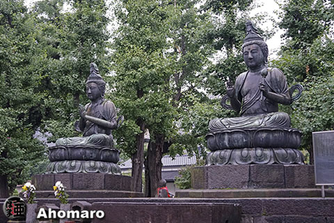 写真00