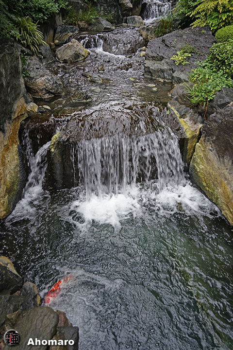 写真00
