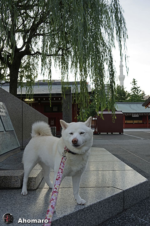 写真00