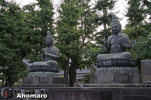 写真00