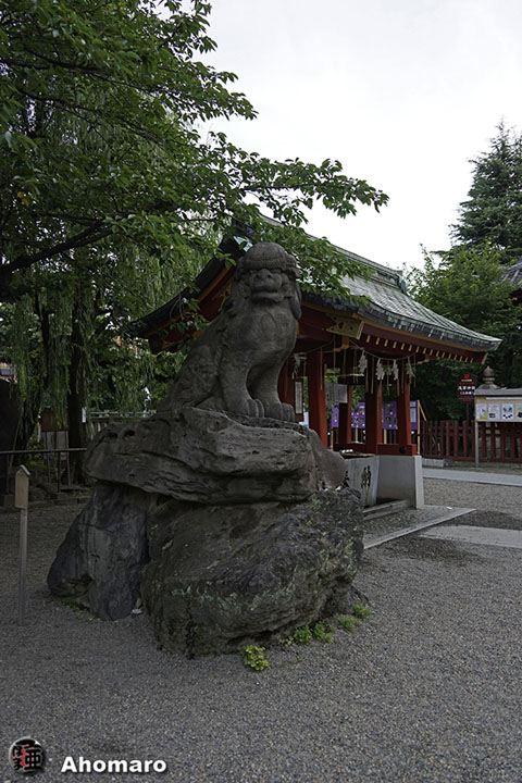 写真00