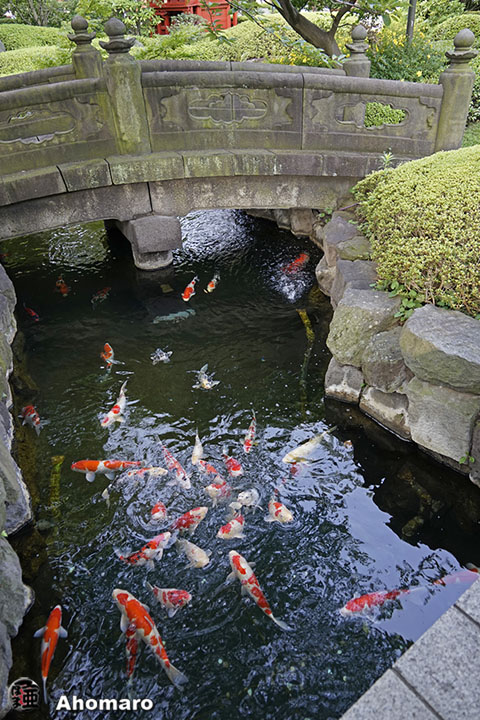 写真00