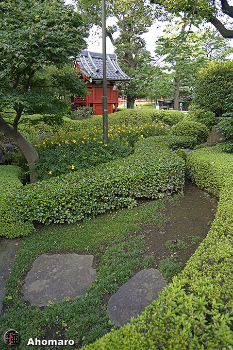 写真00