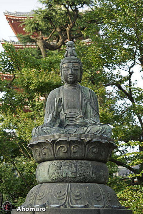 写真00
