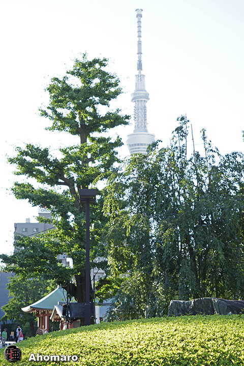 写真00