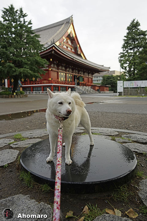 写真00