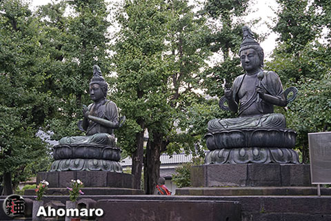 写真00