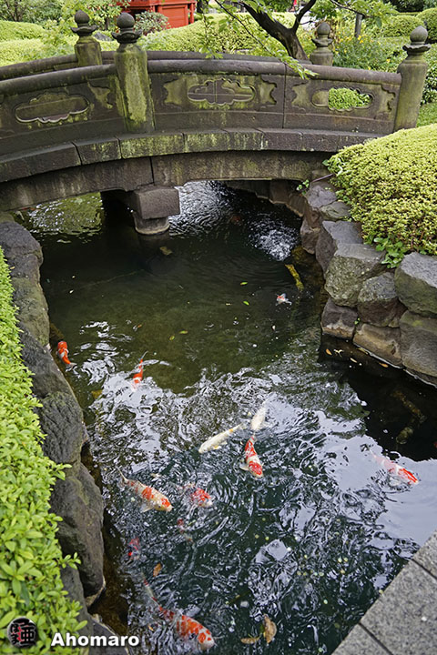 写真00
