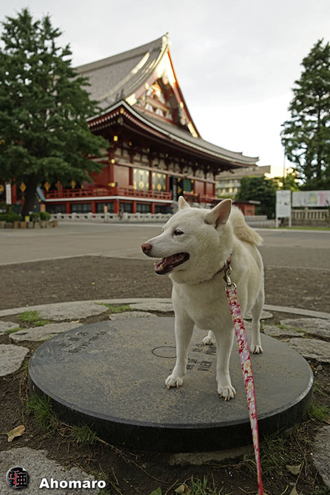 写真00