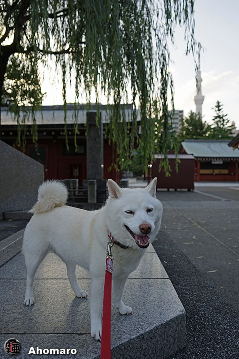 写真00