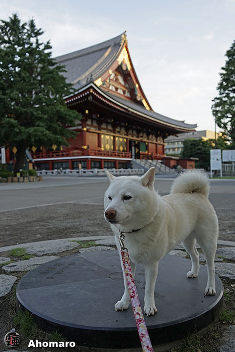 写真00