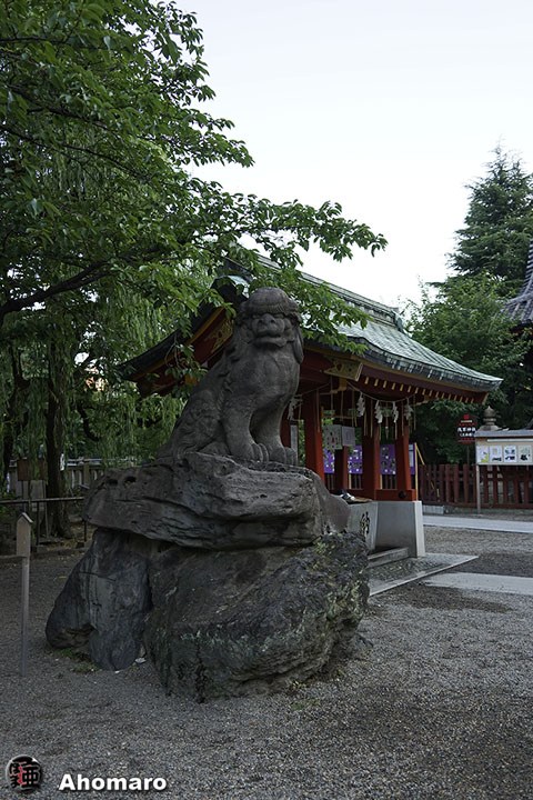 写真00