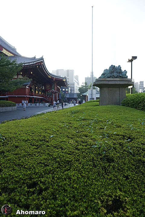 写真00