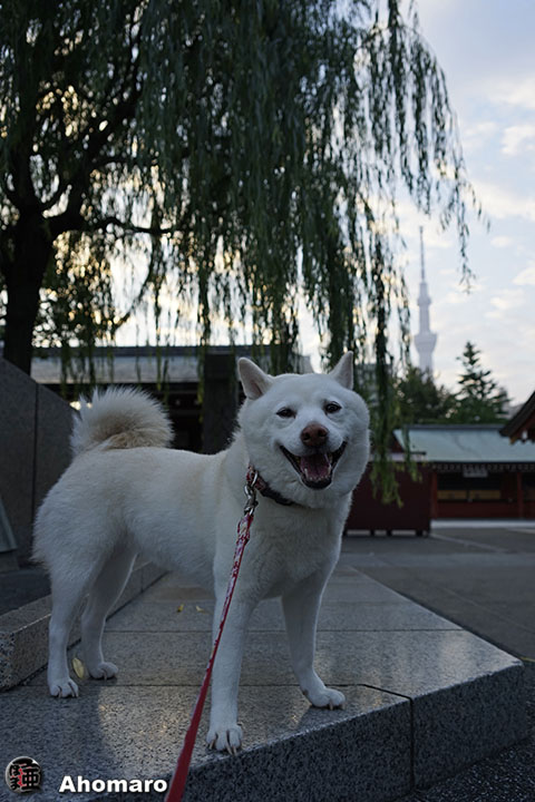 写真00