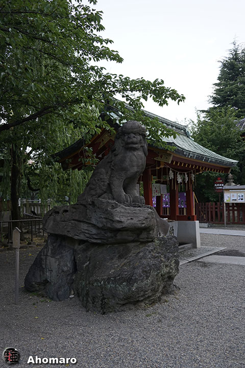 写真00