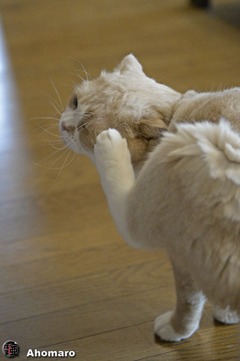 写真00