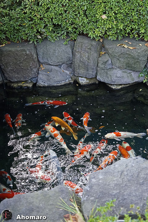 写真00
