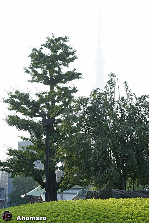 写真00