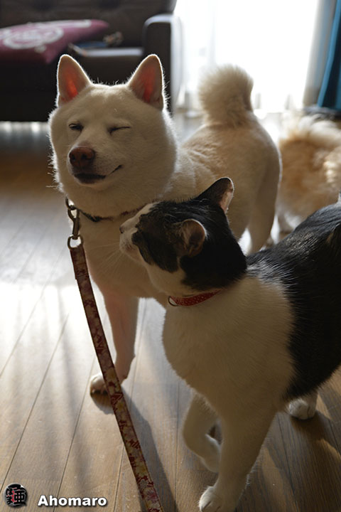 写真00